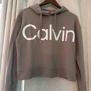 Calvin Klein Women's Taupe Hoodie